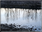 foto Tramonto sul fiume Brenta